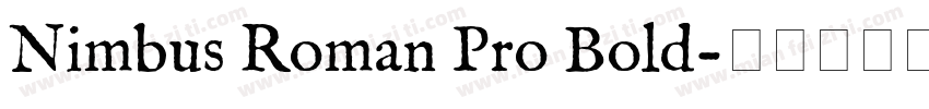 Nimbus Roman Pro Bold字体转换